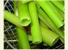 Homemade Candied Angelica - for Cakes, Bakes and Desserts