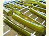 Homemade Candied Angelica - for Cakes, Bakes and Desserts