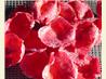 Homemade Crystallised Rose Petals