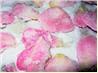 Homemade Crystallised Rose Petals