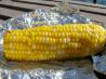 Simple Oven-Roasted Corn on the Cob. Recipe by cipherbabe