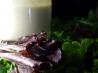 Shogun Japanese Salad Dressing