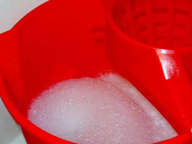 Natural Floor Cleaner. Photo by Bonnie G #2