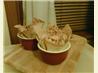Creamy Leek, Mushroom & Baby Pea Pies. Recipe by There's a Squirrel in my Kitchen!