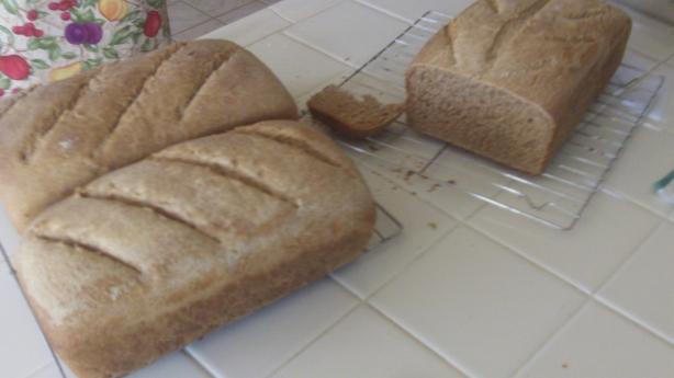 Basic Whole Wheat Bread. Photo by Joseph Morabito