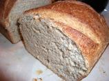 Basic Whole Wheat Bread