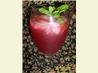 Pink Mojito