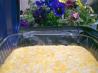 Sauerkraut Dip