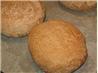 Light Rye Bread Rolls (Abm). Recipe by Chickee