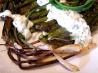Sorrel Tarragon Sauce