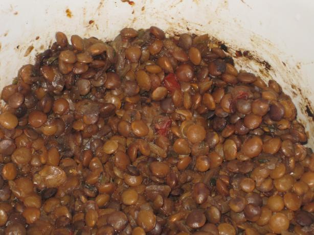 Vegetarian Lentil Taco 'meat Filling' Substitute (Crock Pot). Photo by Herb-Cat