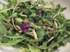 Arugula and Almond Salad With Dried Cranberries. Recipe by Feingold Mom