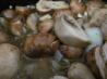 Slow Cooker/ Crock Pot Cream of Portabella Barley Soup. Recipe by my3girlz