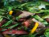 Middle Eastern Lebanese Fattoush Bread Salad. Recipe by Olha