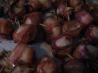 Spicy Ketchup Glazed Bacon-Wrapped Water Chestnuts