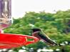Hummingbird Food