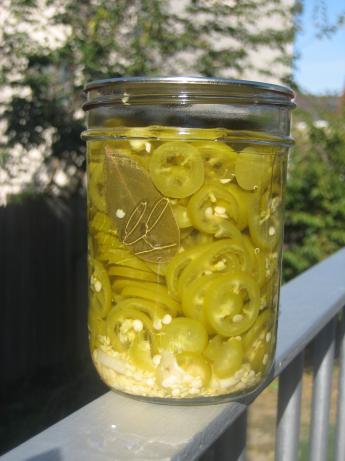 Pickled Hot Jalapeno Peppers. Photo by xtine