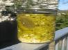 Pickled Hot Jalapeno Peppers. Recipe by xtine