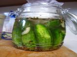 East Side New York Half-Sour Pickles