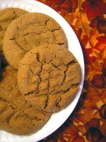 Gingersnaps. Photo by Shannon 24