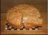 Beer Bread. Recipe by Sonya01