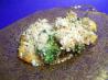 Broccoli-Rice Casserole