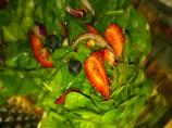 Spinach Salad With Berries and Curry Dressing