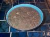 Muffy the Velvet Mushroom Soup & Friend - Longmeadow Farm. Recipe by Andi of Longmeadow Farm