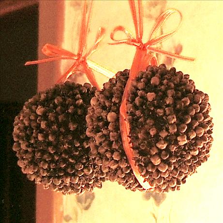 Citron (Etrog) Pomander. Photo by Kathy228