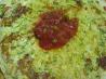 Spanish Zucchini Frittata. Recipe by LARavenscroft