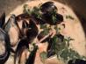 Creamy Mussel Soup
