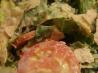 Mexican Salad. Recipe by Lvs2Cook