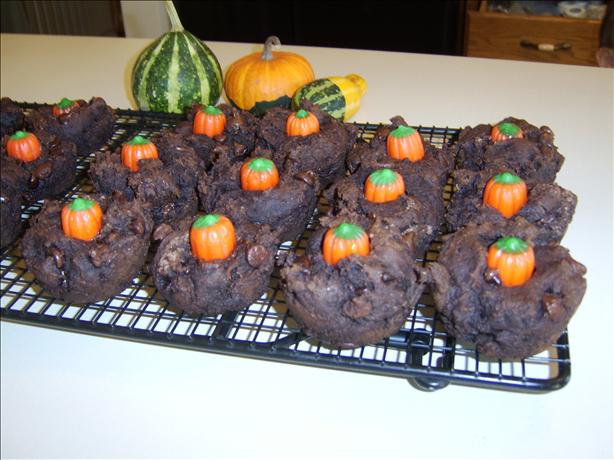Fat Free Chocolate Muffins. Photo by Rachie P