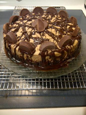 Peanut Butter Cup Brownie Bottom Cheesecake. Photo by sagelakos