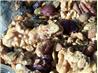 Daily Harvest Granola