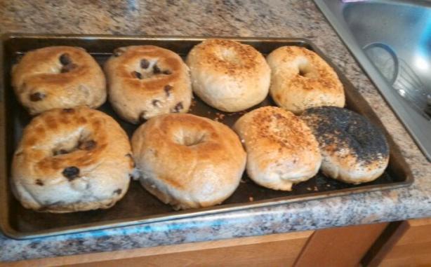 Home-Baked Bagels. Photo by DawnyF