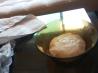 Basic Pizza Dough