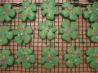 Kittencal's Buttery Cut-Out Sugar Cookies W/ Icing That Hardens