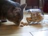 Mackerel Cat Munchies