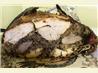 Turducken (A Chicken in a Duck in a Turkey)