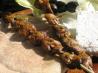Grilled Marinated Mushrooms