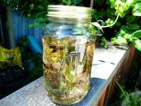 Earth's Herbal Sun Tea