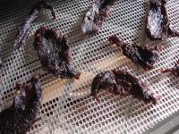 Spicy Deer Jerky