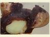 Baked Potato Ranchero