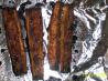 Roasted Delicata Squash Wedges