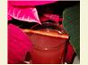 Poinsettia Sipper (With "cocktail" Variation). Recipe by acerast