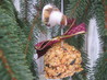 Suet Balls for Birds (For Christmas)