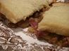 Boston Beanwich