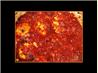 Crock Pot Tomato Sauce Tofall Spaghetti. Recipe by IOjaw