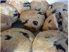 Blueberry Muffins